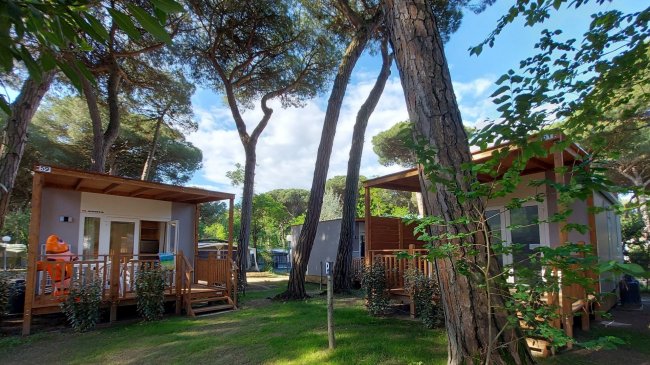 Case mobili in un campeggio tra gli alberi.