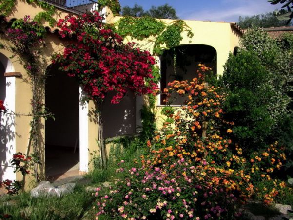 Portico con fiori variopinti e bouganville su un muro esterno.