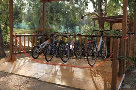 Un portabiciclette in legno con sei biciclette parcheggiate all'aperto.