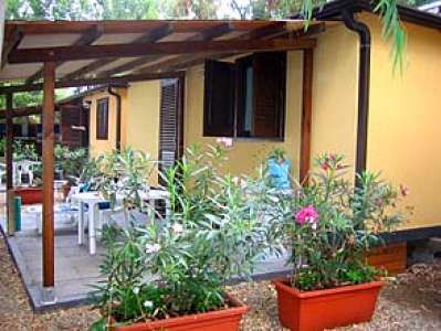 Una casetta gialla con patio e piante in vaso.