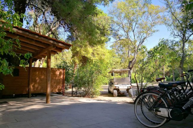 Biciclette e golf cart in parcheggio ombreggiato.