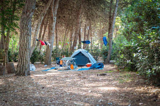 Tenda da campeggio sotto alberi con panni stesi.