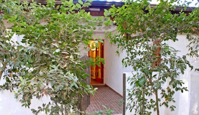 Entrata circondata da piante, porta aperta sullo sfondo.