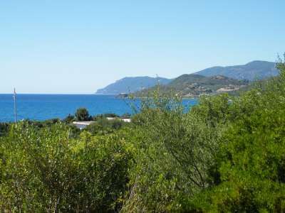 Vista della costa con mare blu e colline sullo sfondo, circondata da vegetazione verde.
