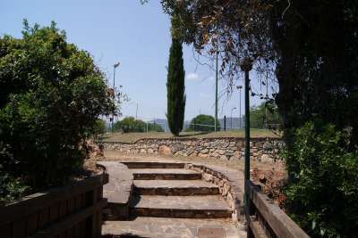 Scalinata di pietra tra alberi e cespugli, con un alto cipresso in lontananza.