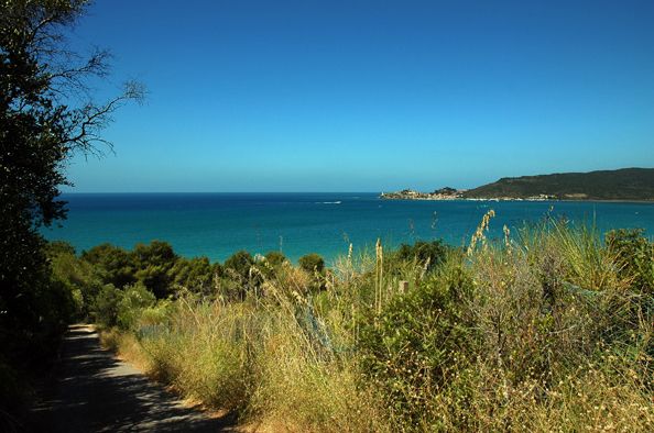 Sentiero con vista su un mare blu e vegetazione lussureggiante.