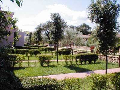 Un giardino con sentieri di pietra, piccoli alberi e siepi curate.
