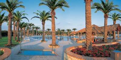 Piscina circondata da palme e aiuole fiorite.
