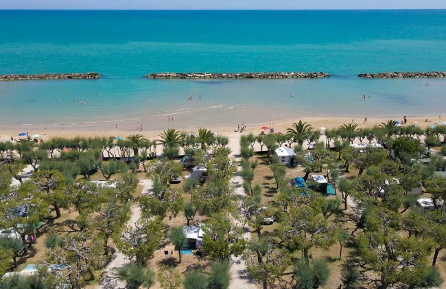 Spiaggia con mare calmo e vegetazione.