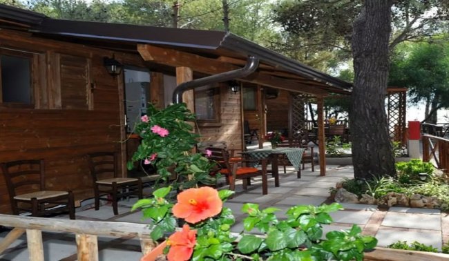 Chalet di legno con fiori e sedie nel patio.