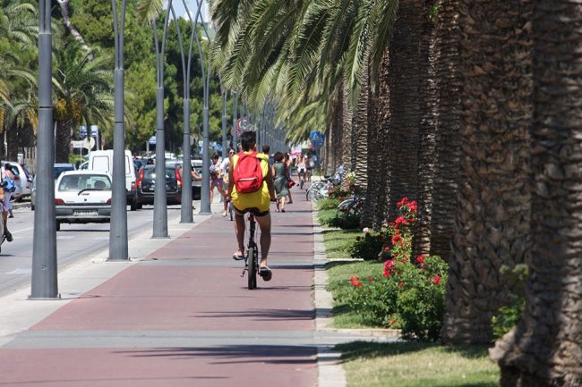 Pista ciclabile con palme e biciclette.