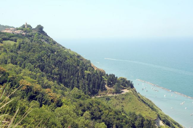 Collina verdeggiante affacciata sul mare azzurro.