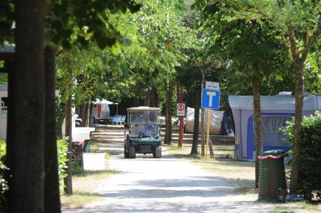 Stradina sterrata in campeggio, con golf cart e tende.