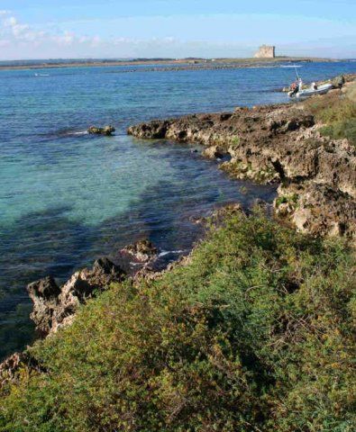 Costa rocciosa con mare cristallino e torre in lontananza.