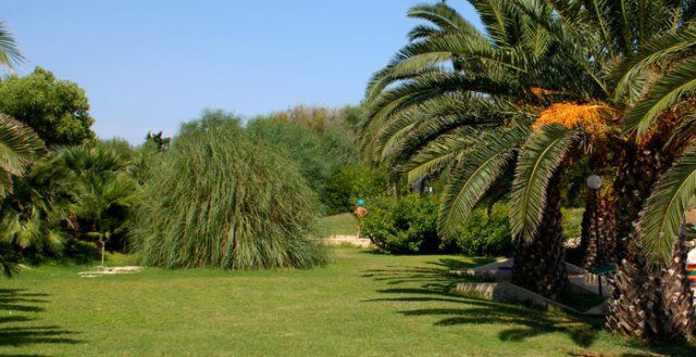 Un giardino con palme e ampio prato verde.