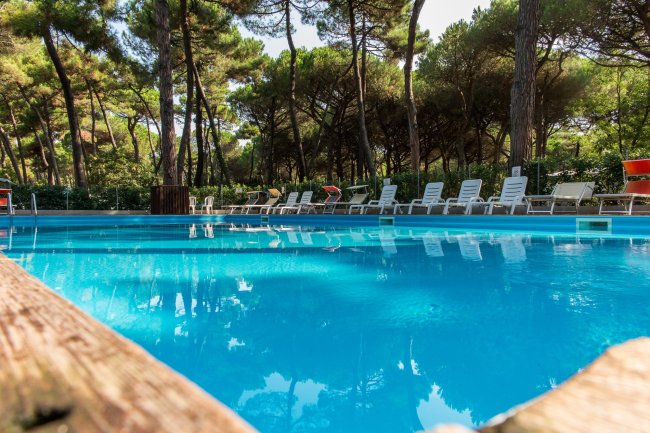 Piscina all'aperto con sedie a sdraio, circondata da alberi.