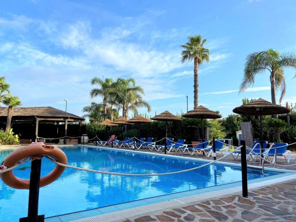 Piscina con sedie a sdraio e palme tropicali.