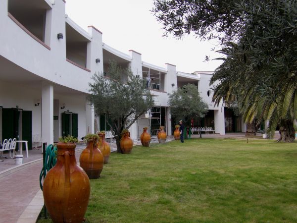 Un cortile erboso circondato da edifici curvi, con grandi vasi e alberi.
