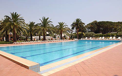 Piscina con palme, lettini bianchi e alberi sullo sfondo.