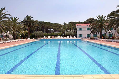 Una grande piscina all'aperto circondata da palme e lettini.