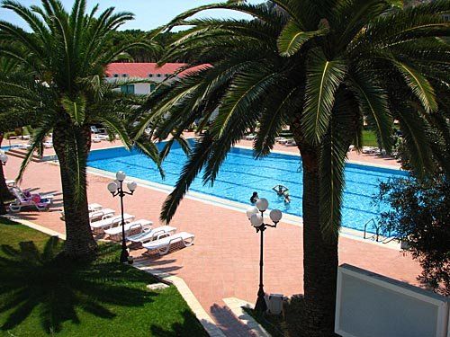 Piscina vista dall'alto di giorno, circondata da palme e lettini.