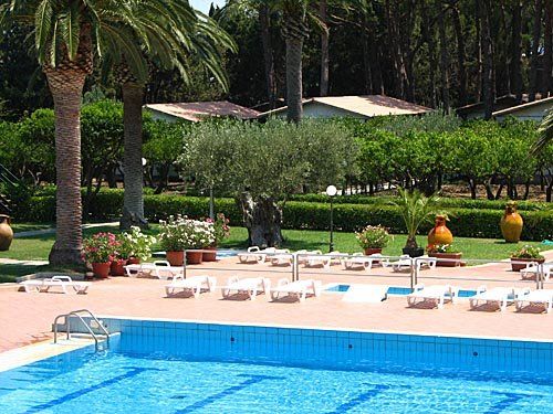 Area piscina con lettini, palme e piante in un giardino.