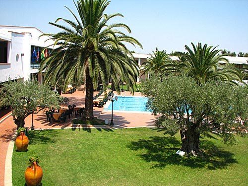 Un giardino con palme, piscina e sedie a sdraio su un prato verde.