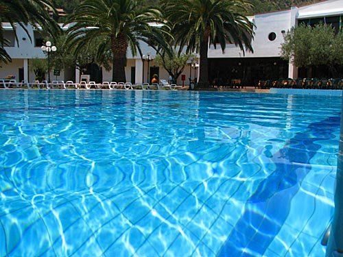 Una piscina blu circondata da sdraio e palme sullo sfondo.