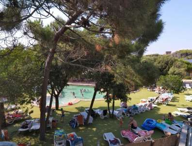 Una piscina con persone che nuotano e si rilassano su lettini sotto gli alberi.