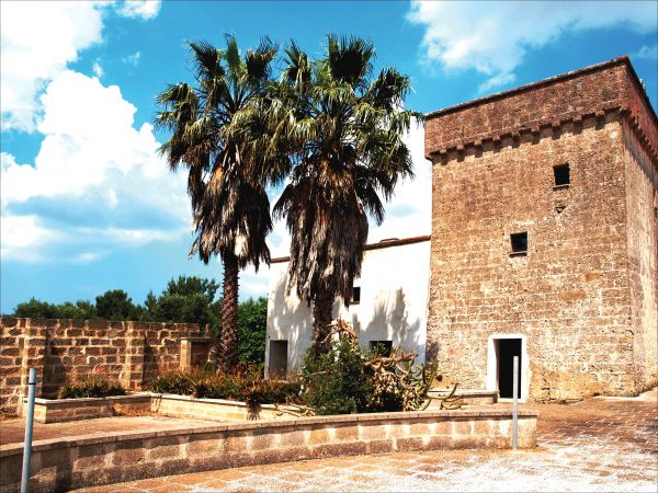 Edificio storico in pietra con palme, cielo sereno sopra.