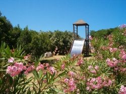 Un parco giochi con scivolo, circondato da piante fiorite e cielo blu.