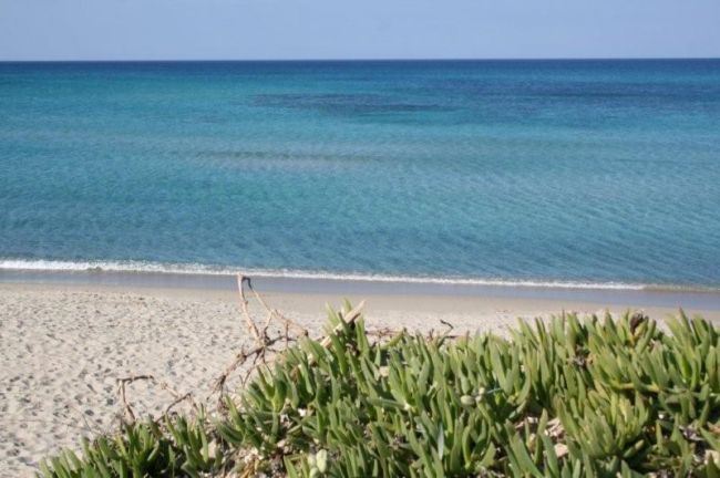 Spiaggia con sabbia chiara e mare turchese, cespugli verdi in primo piano.