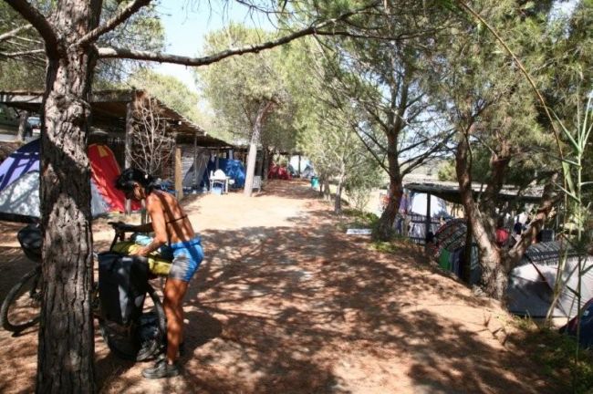Piazzola campeggio ombreggiata da pini, persona vicino a una bicicletta.