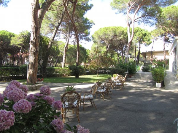 Giardino con sedie in vimini, alberi, e ortensie rosa.