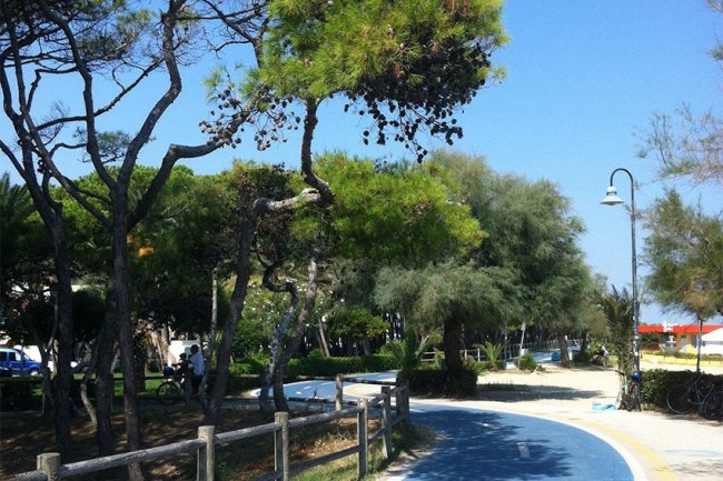 Sentiero alberato con pista ciclabile e lampione.