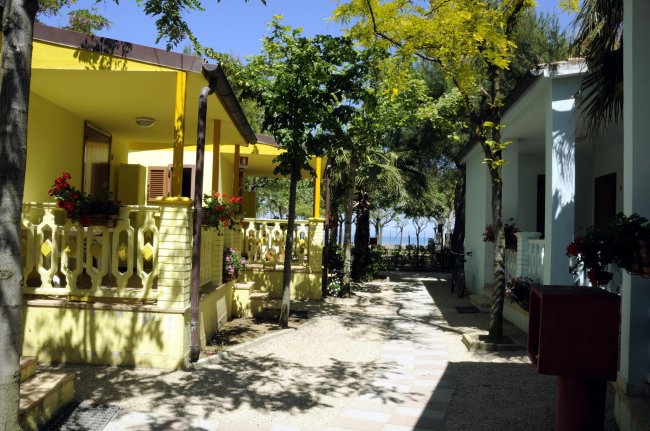 Casette colorate lungo un sentiero alberato.