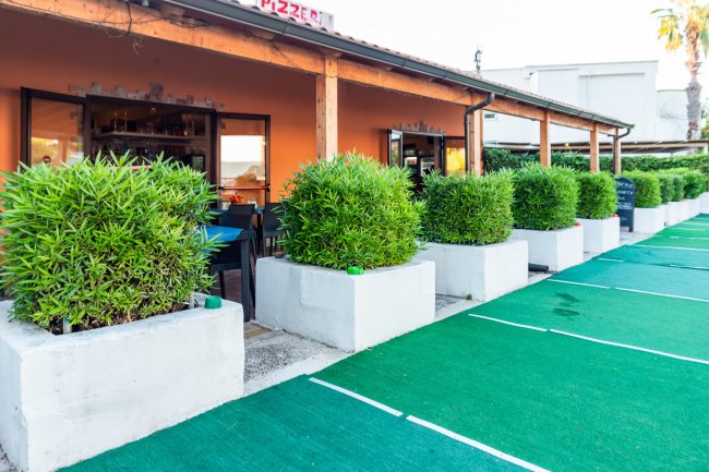 Esterno di una pizzeria con vasi e piante.