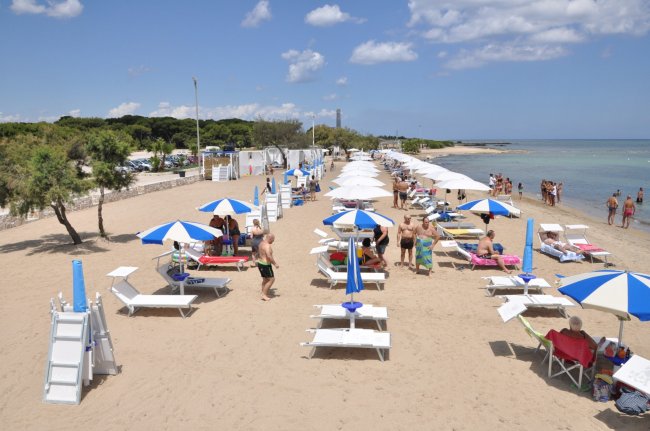 Spiaggia sabbiosa con ombrelloni e lettini.
