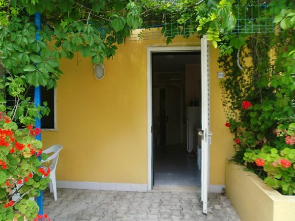 Ingresso di una casa con piante e fiori rampicanti.