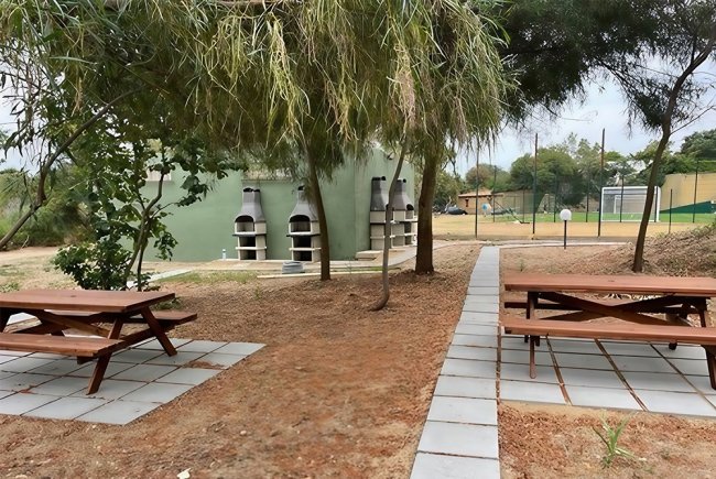 Tavoli da picnic e barbecue tra gli alberi in un'area all'aperto.