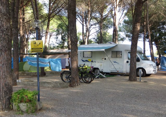 Area di campeggio con camper, biciclette e alberi.