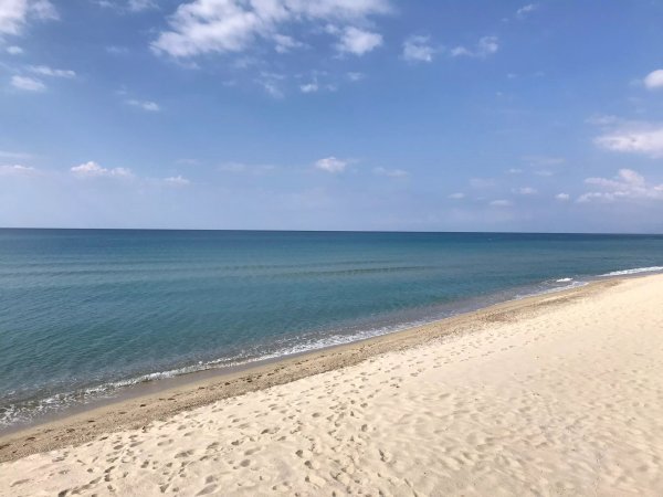 Spiaggia sabbiosa con mare calmo e cielo azzurro.