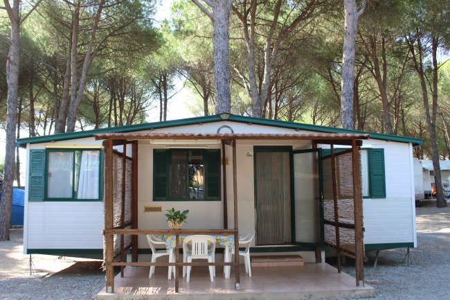 Bungalow con veranda in legno tra i pini.