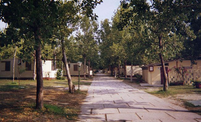 Un viale alberato con case mobili su entrambi i lati.