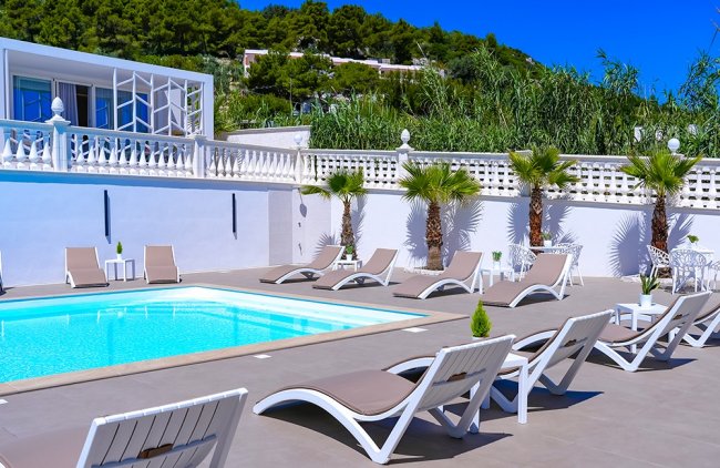 Piscina con lettini e palme nei pressi.