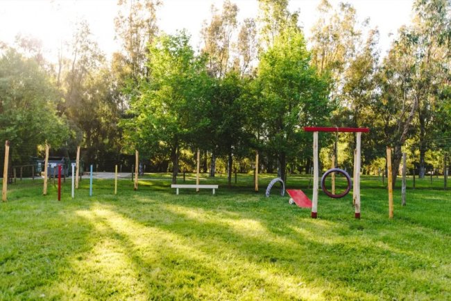 Area verde attrezzata con giochi per cani, circondata da alberi.