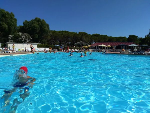 Persone nuotano in una piscina all'aperto con alberi sullo sfondo.