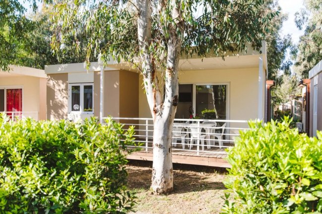 Bungalow con veranda circondato da piante e alberi.