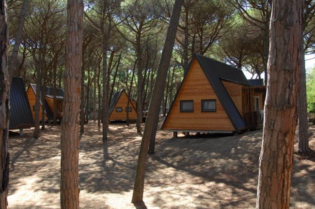 Bungalow a forma di A in una pineta.