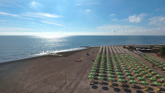 Spiaggia con file di ombrelloni verdi e gialli.
